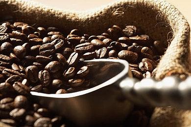 科隆：《死亡岛2》正式公布 Epic国区199元